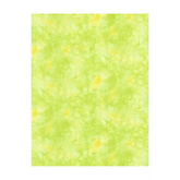 Solid-ish Basic Citrus